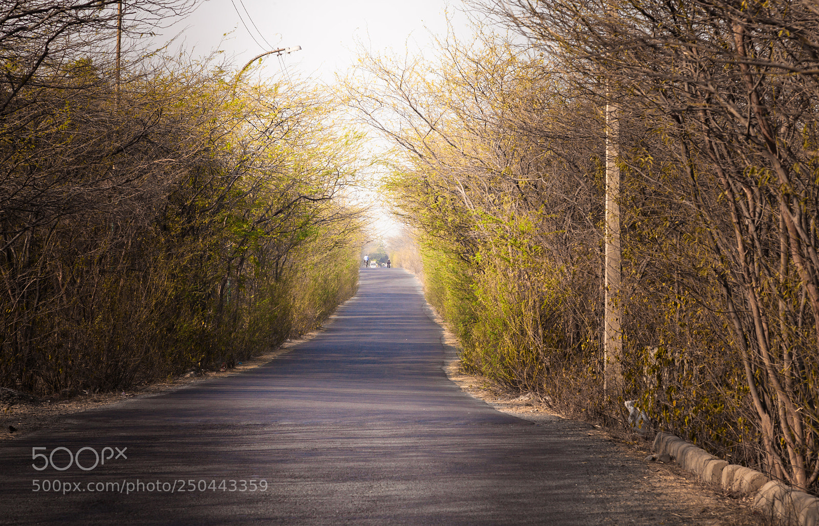 Canon EOS 5D Mark II sample photo. Road photography