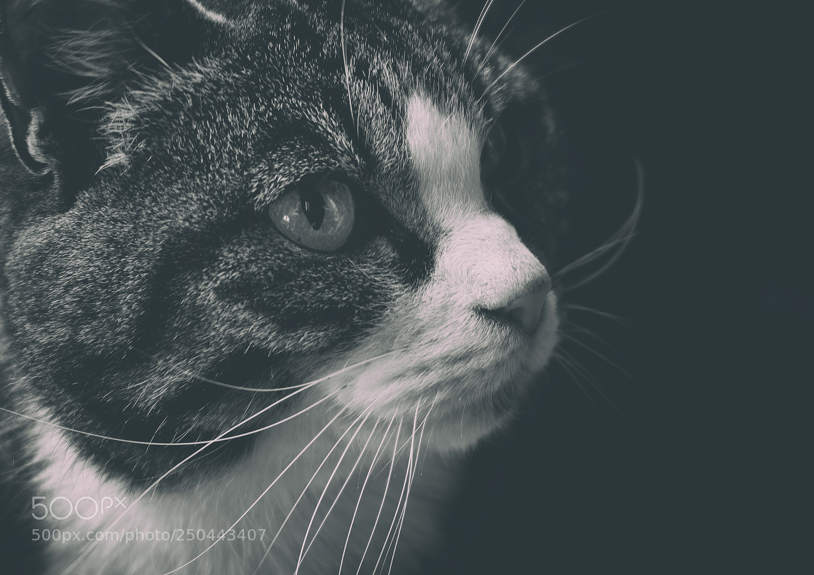 Fujifilm X-T10 sample photo. You have something for photography