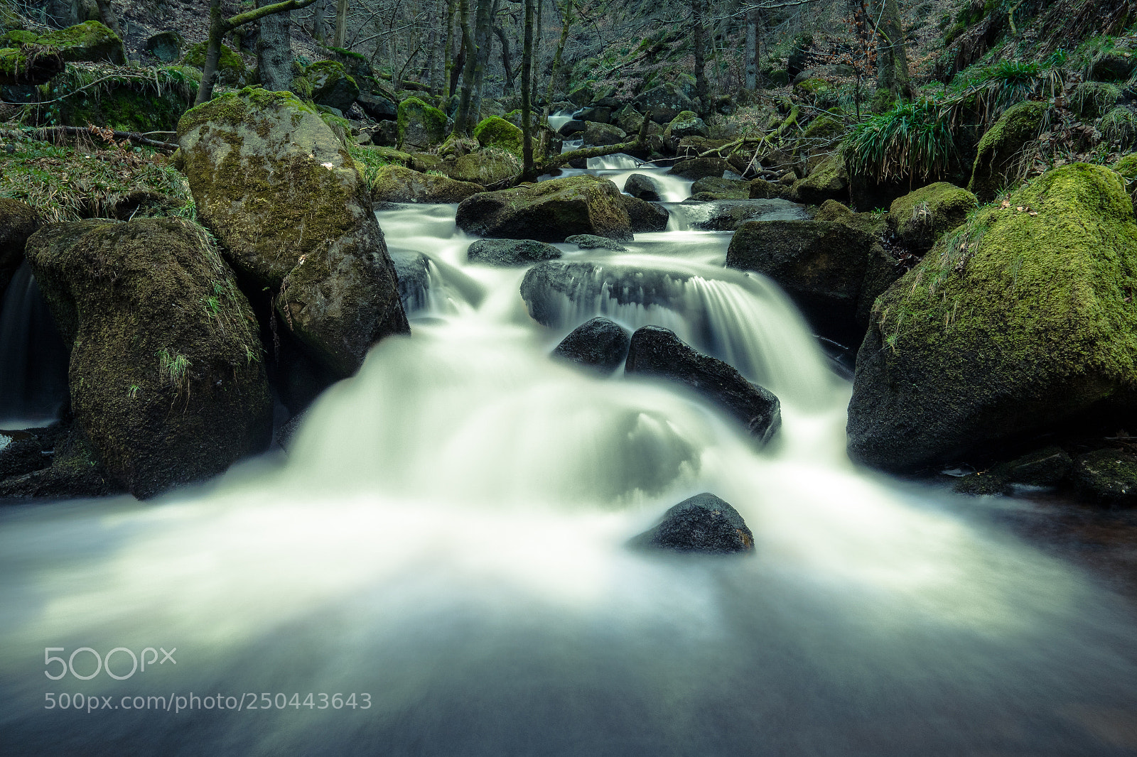 Panasonic Lumix DC-G9 sample photo. Padley gorge 318 photography