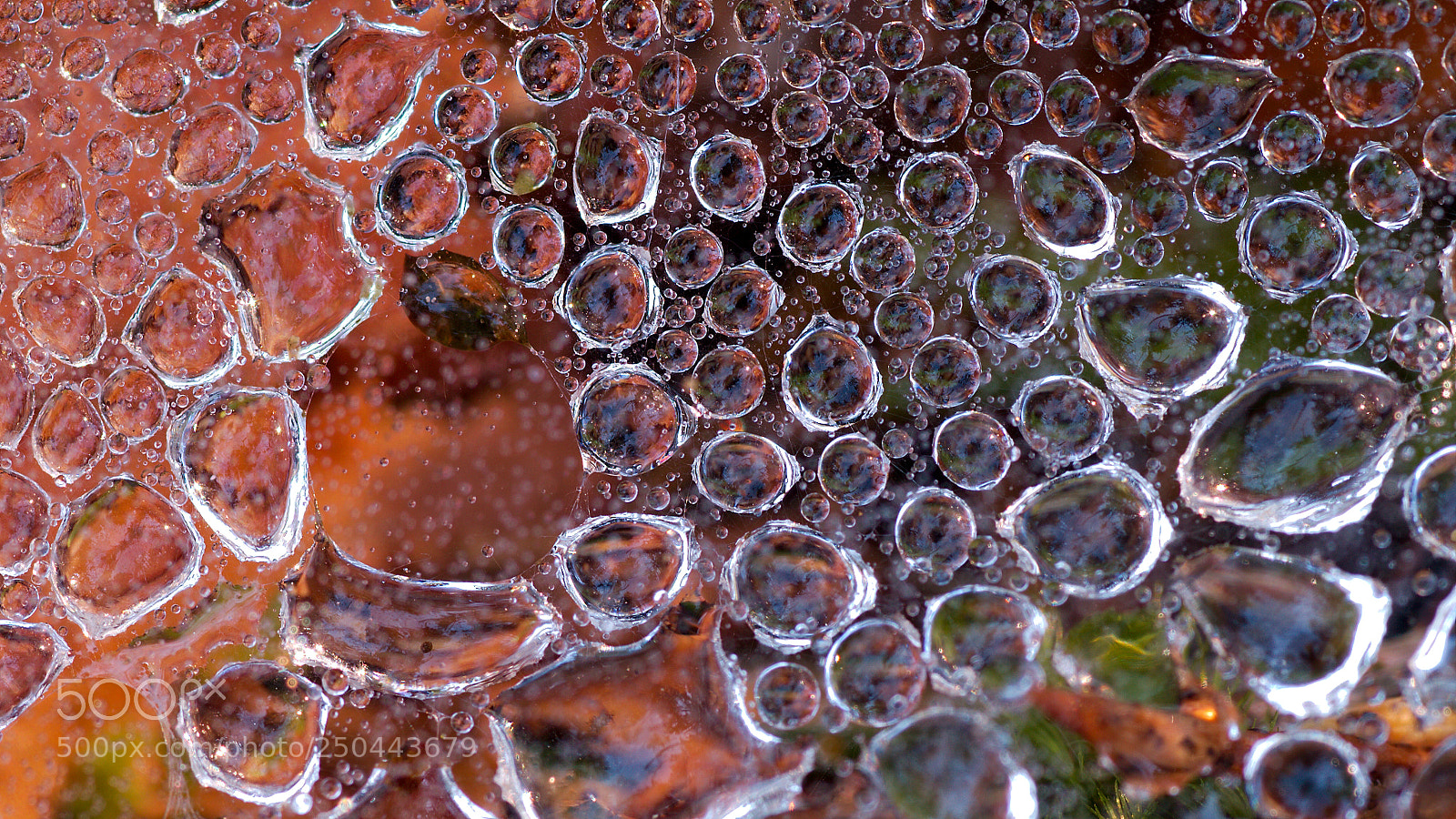 Canon EOS 7D sample photo. Spiderweb with dops photography