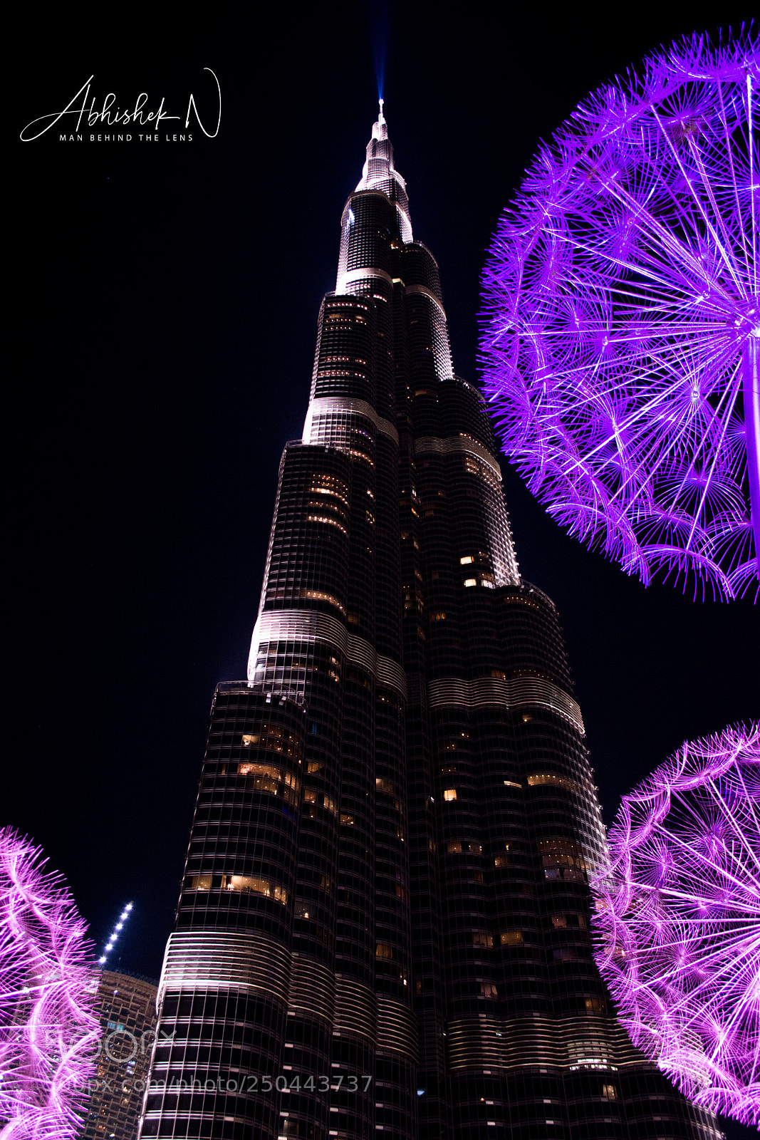 Nikon D5200 sample photo. Ain't i tallest photography