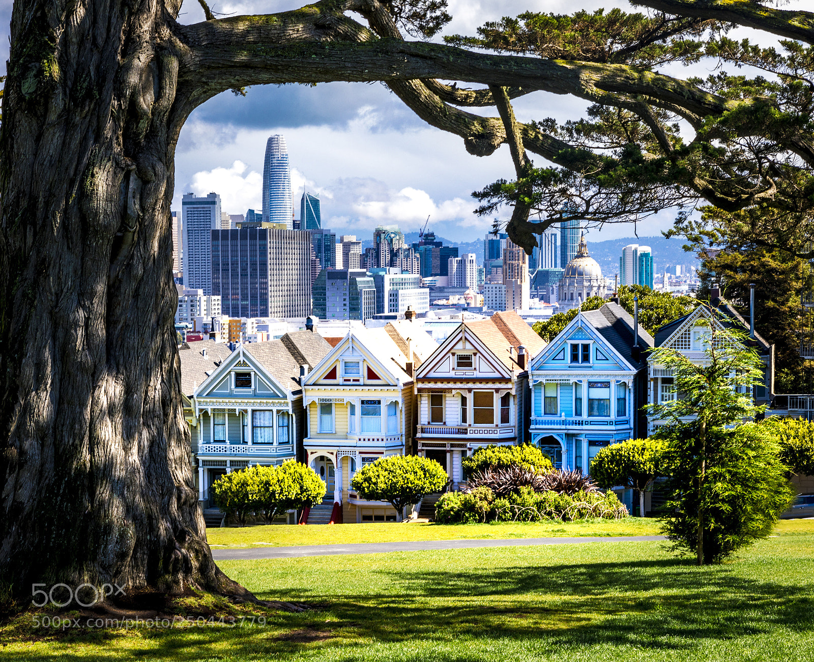 Canon EOS 5D Mark IV sample photo. The painted ladies photography