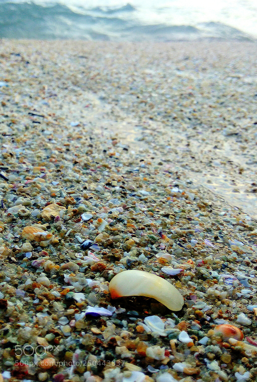 Xiaomi Redmi Note3 sample photo. Little things means a photography