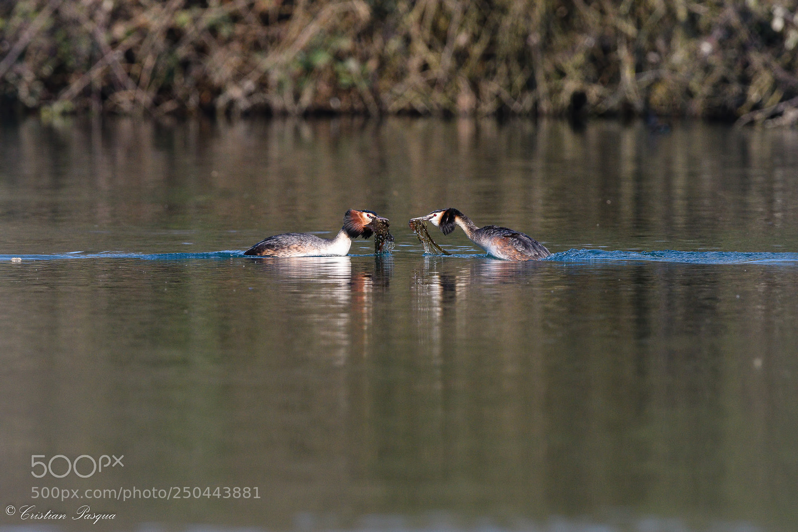 Nikon D500 sample photo. Love photography
