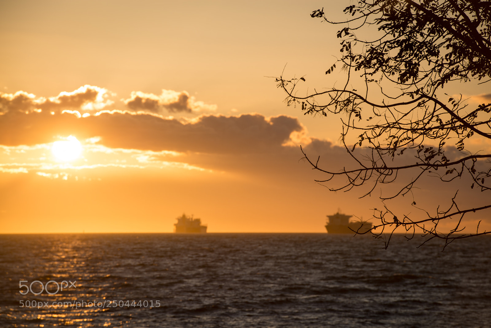 Nikon D800 sample photo. Same harbor different view photography
