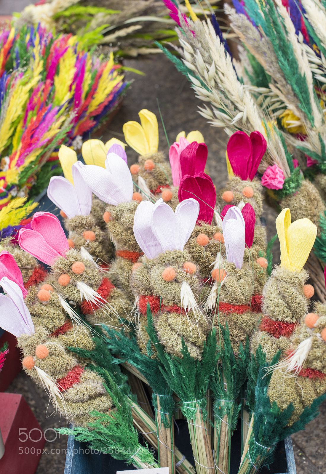 Nikon D810 sample photo. Polish easter palms at photography