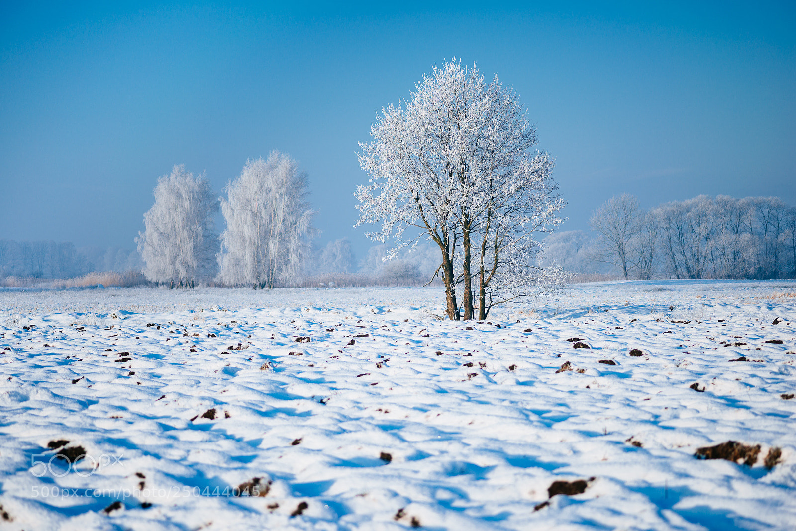 Nikon D800 sample photo. Winter in ledowo photography