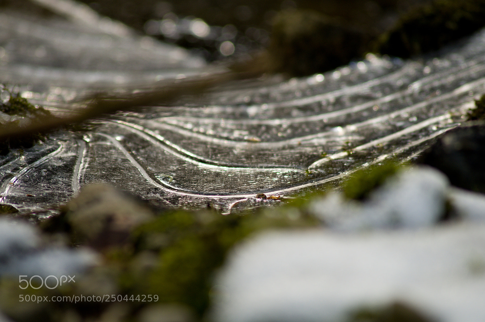 Sony SLT-A58 sample photo. Ice photography