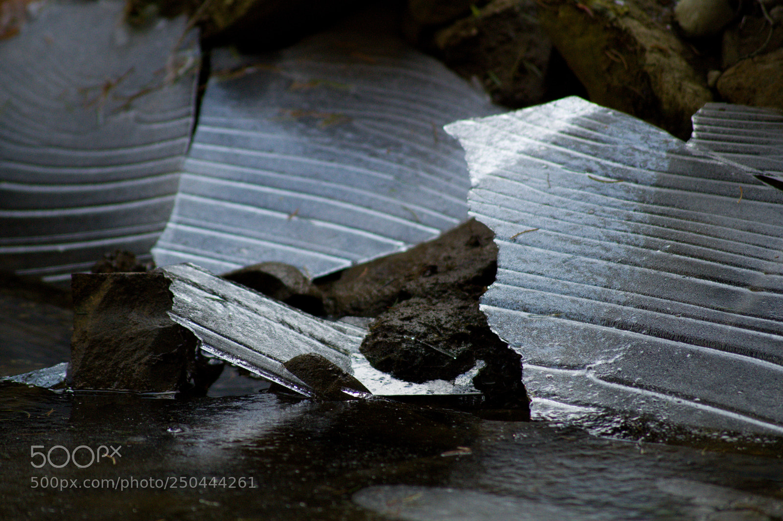 Sony SLT-A58 sample photo. Broken ice photography