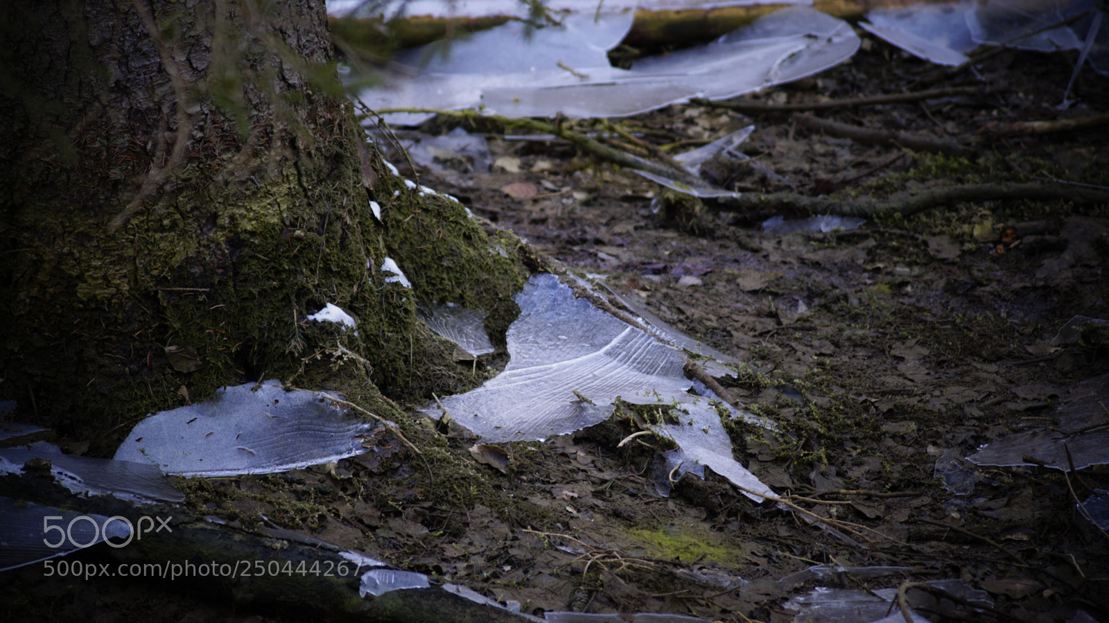 Sony SLT-A58 sample photo. Lonely ice photography