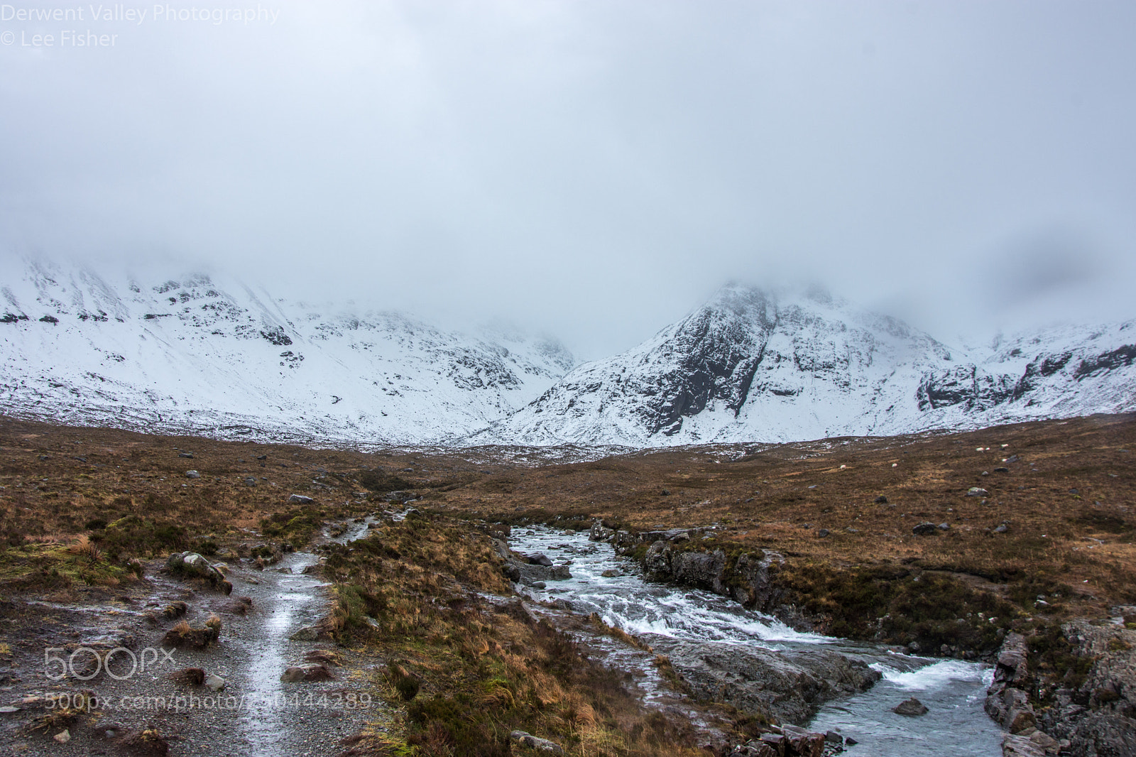 Nikon D7200 sample photo. Bleak photography