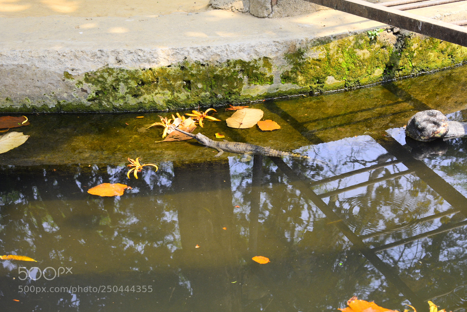 Nikon D3400 sample photo. Small world photography
