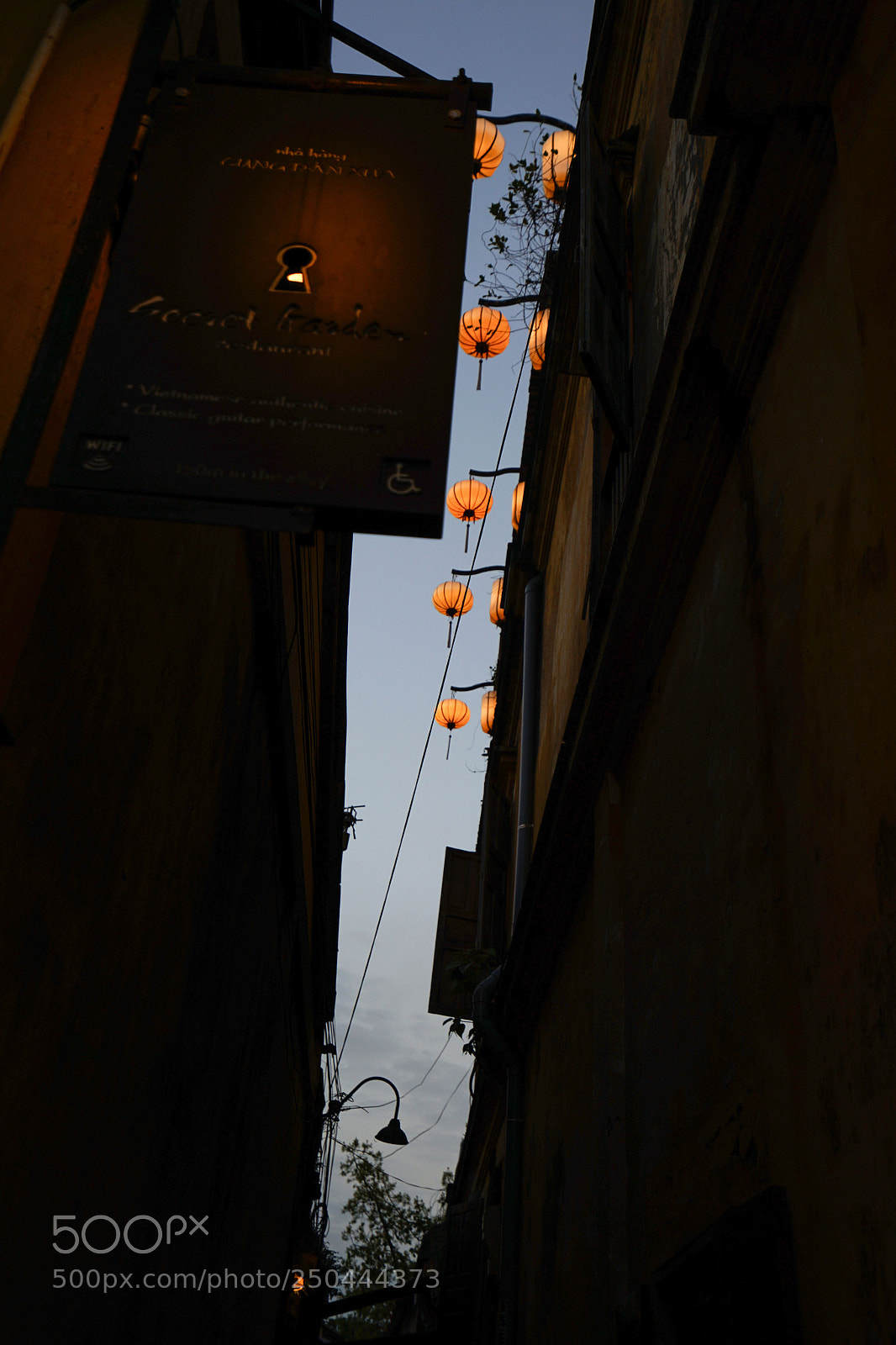 Sony a7 II sample photo. Dsc photography