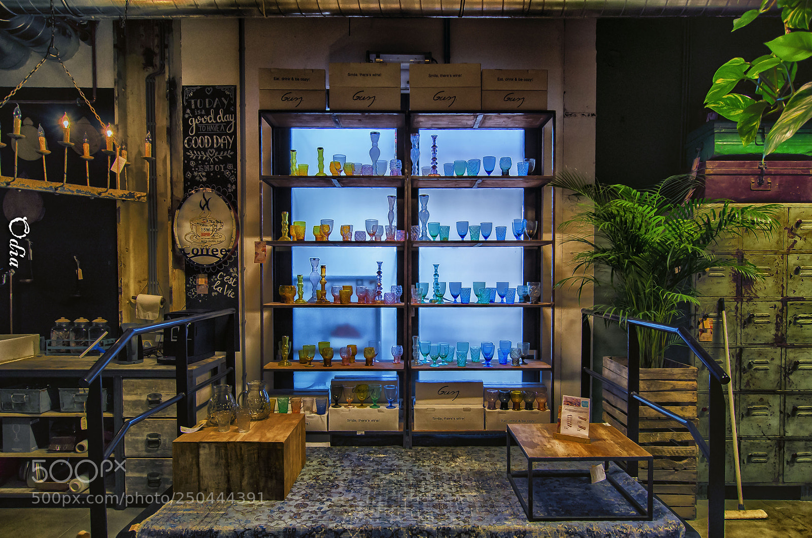 Nikon D5100 sample photo. Eat, drink & be crazy photography