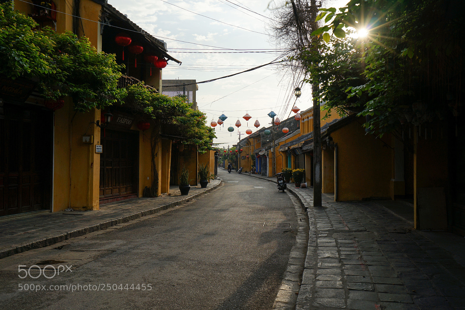 Sony a7 II sample photo. Dsc photography