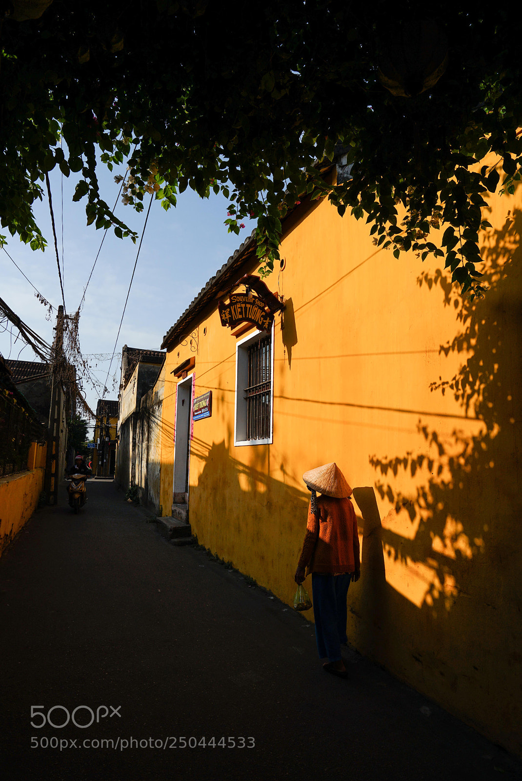 Sony a7 II sample photo. Dsc photography