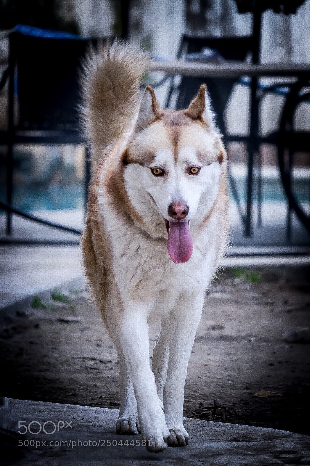 Fujifilm X-T10 sample photo. Untitled photography