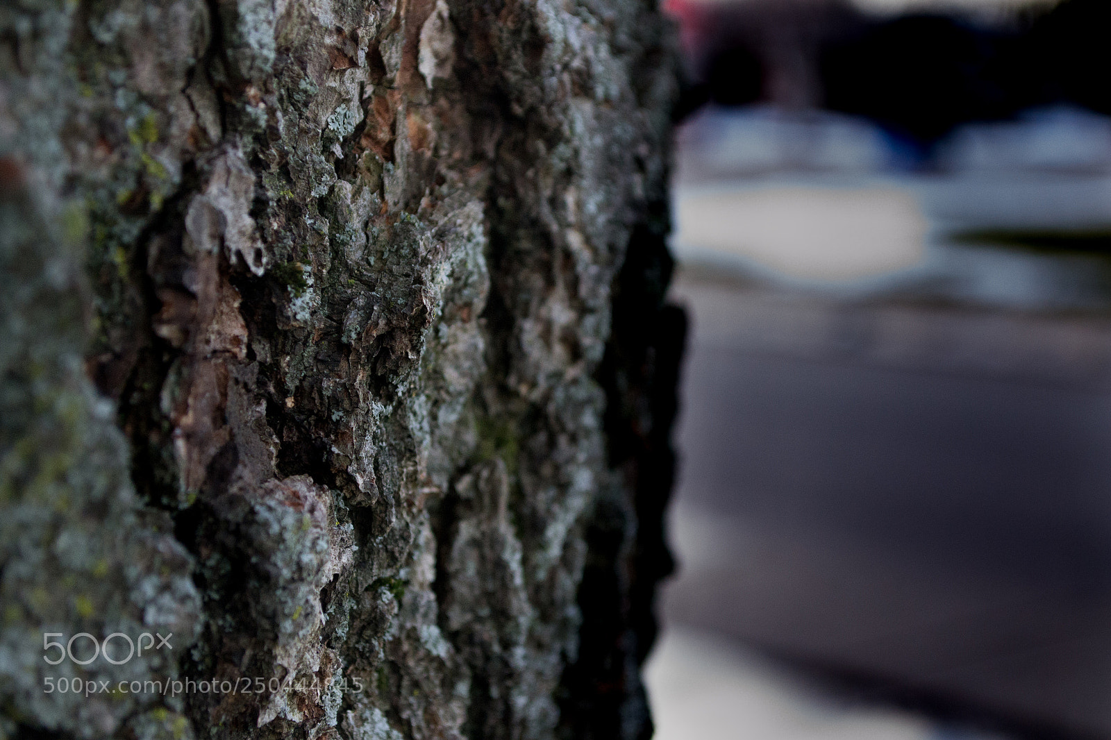 Nikon D3100 sample photo. Untitled photography