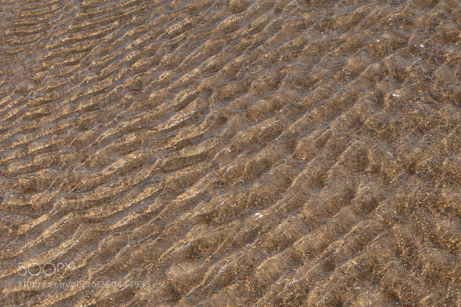 Canon EOS 70D sample photo. Ripples photography