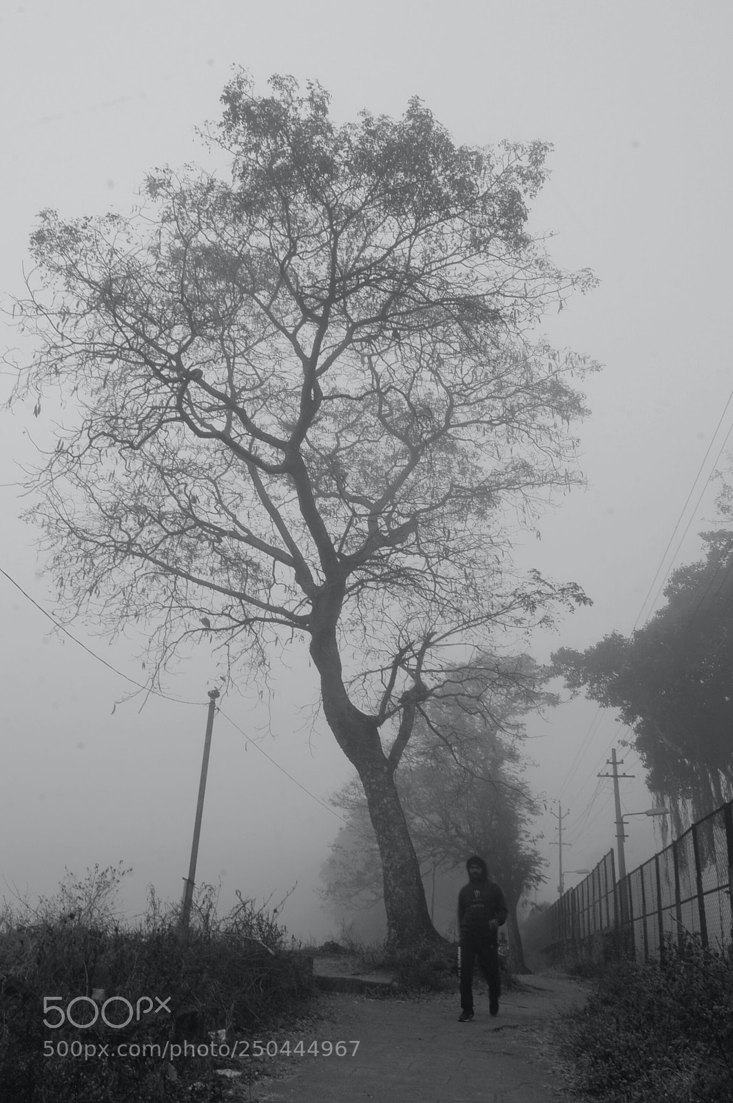Nikon D3200 sample photo. A misty walk photography