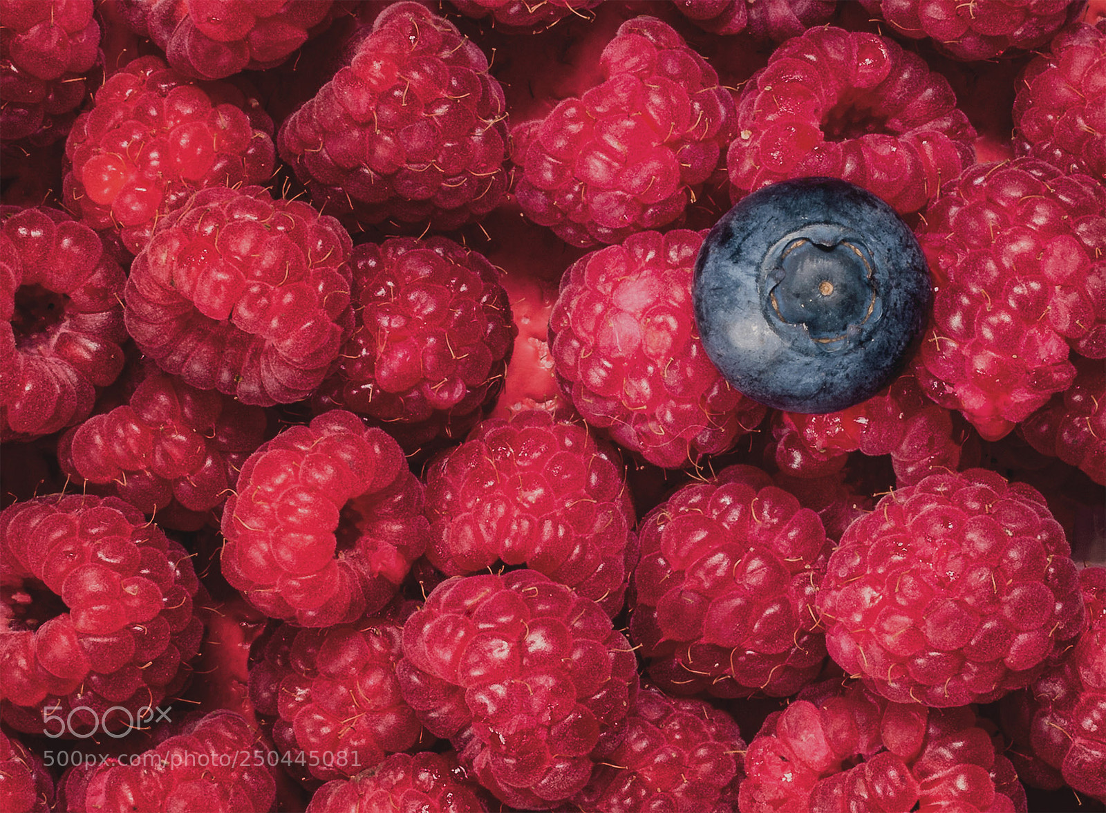 Nikon D7500 sample photo. Fruit photography