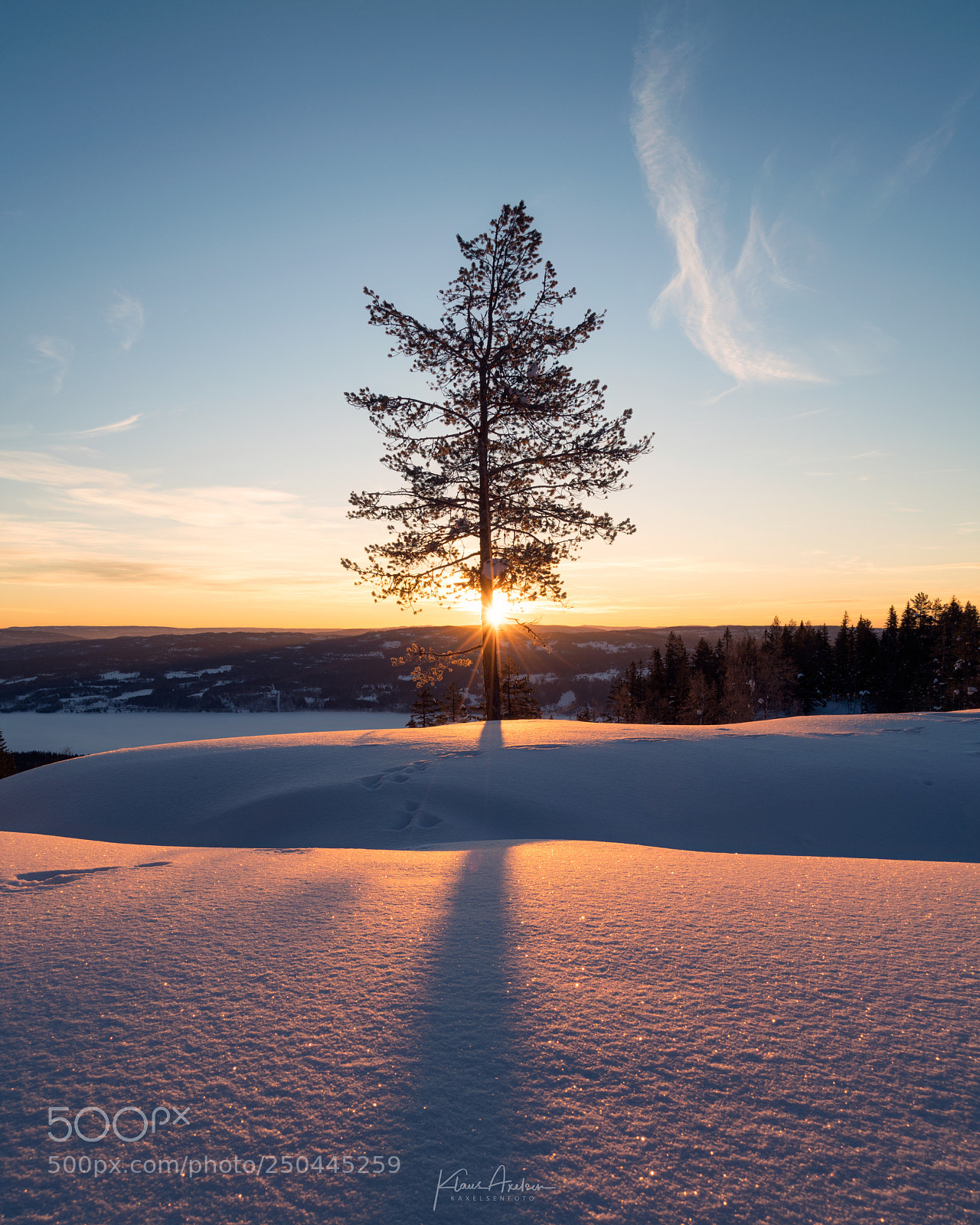 Sony a7R II sample photo. "rise and shine" photography