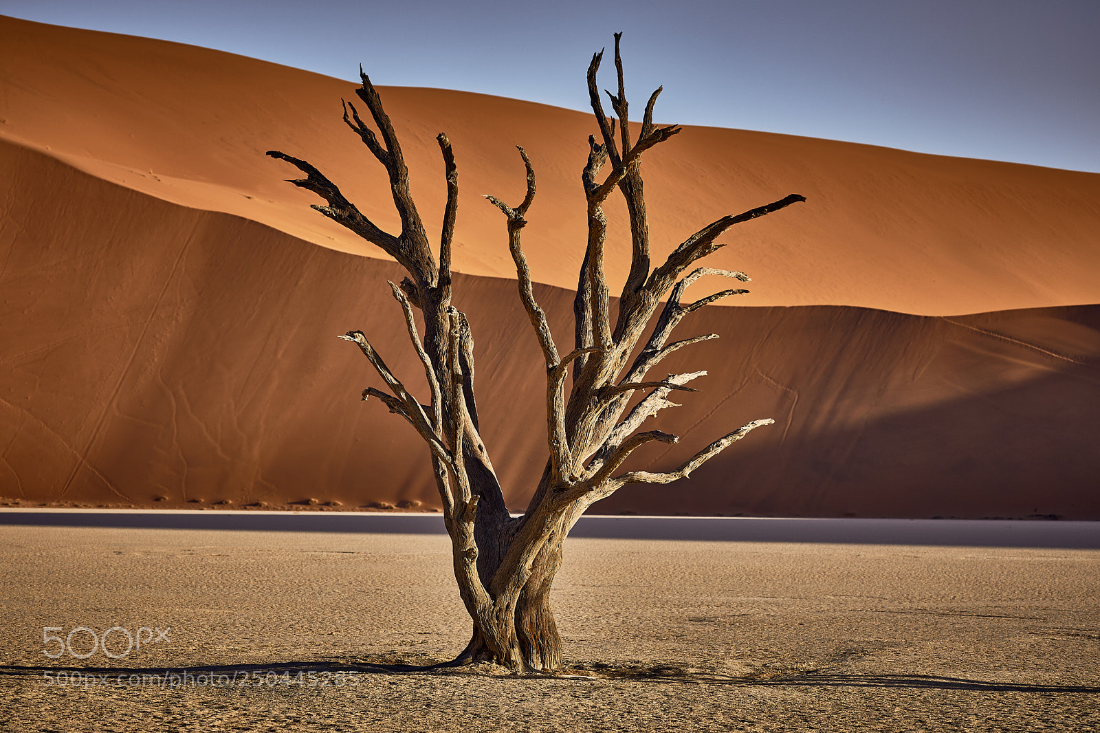 Canon EOS 5D Mark IV sample photo. Deadvlei, namib desert photography