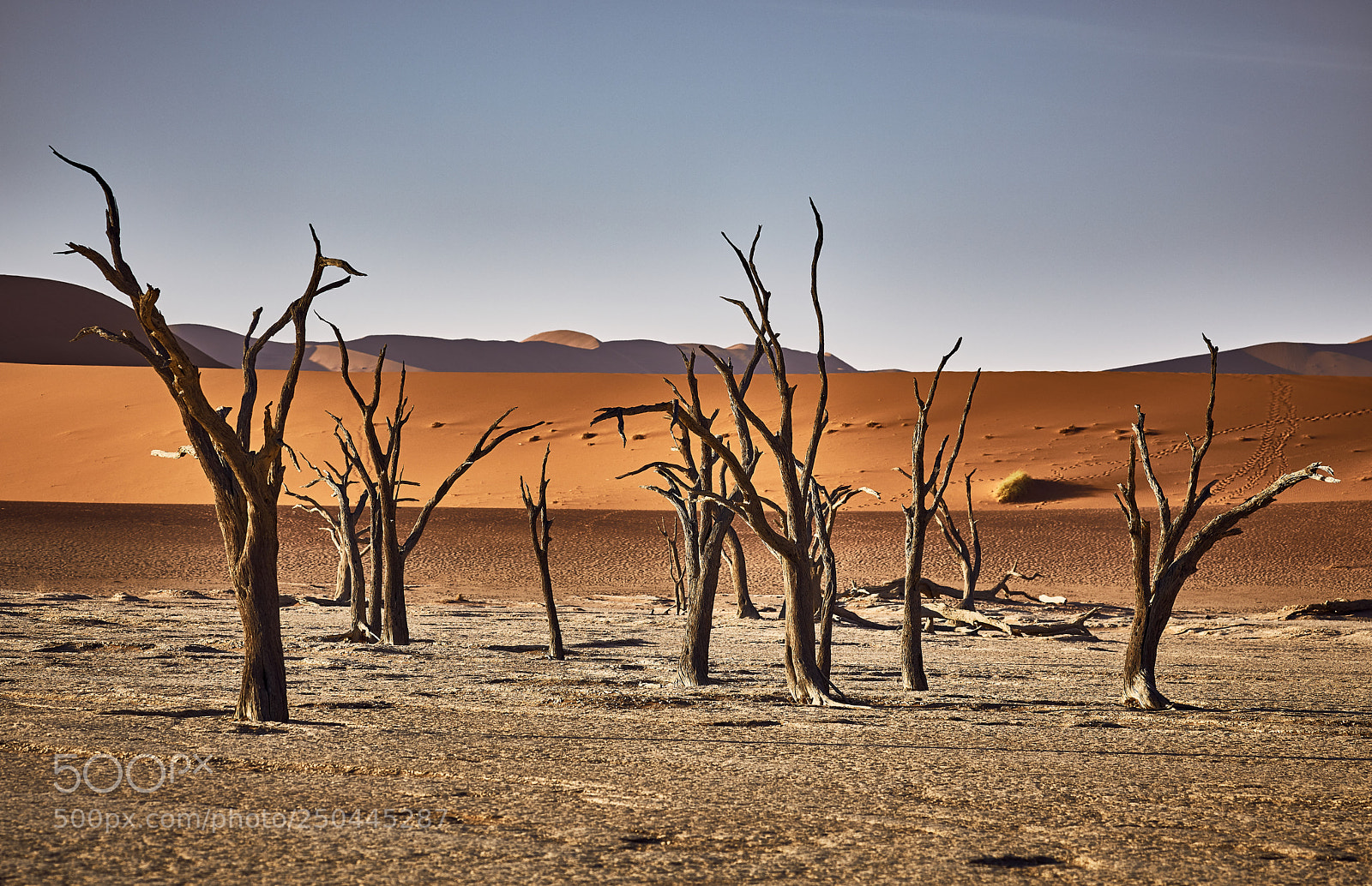 Canon EOS 5D Mark IV sample photo. Deadvlei, namib desert photography