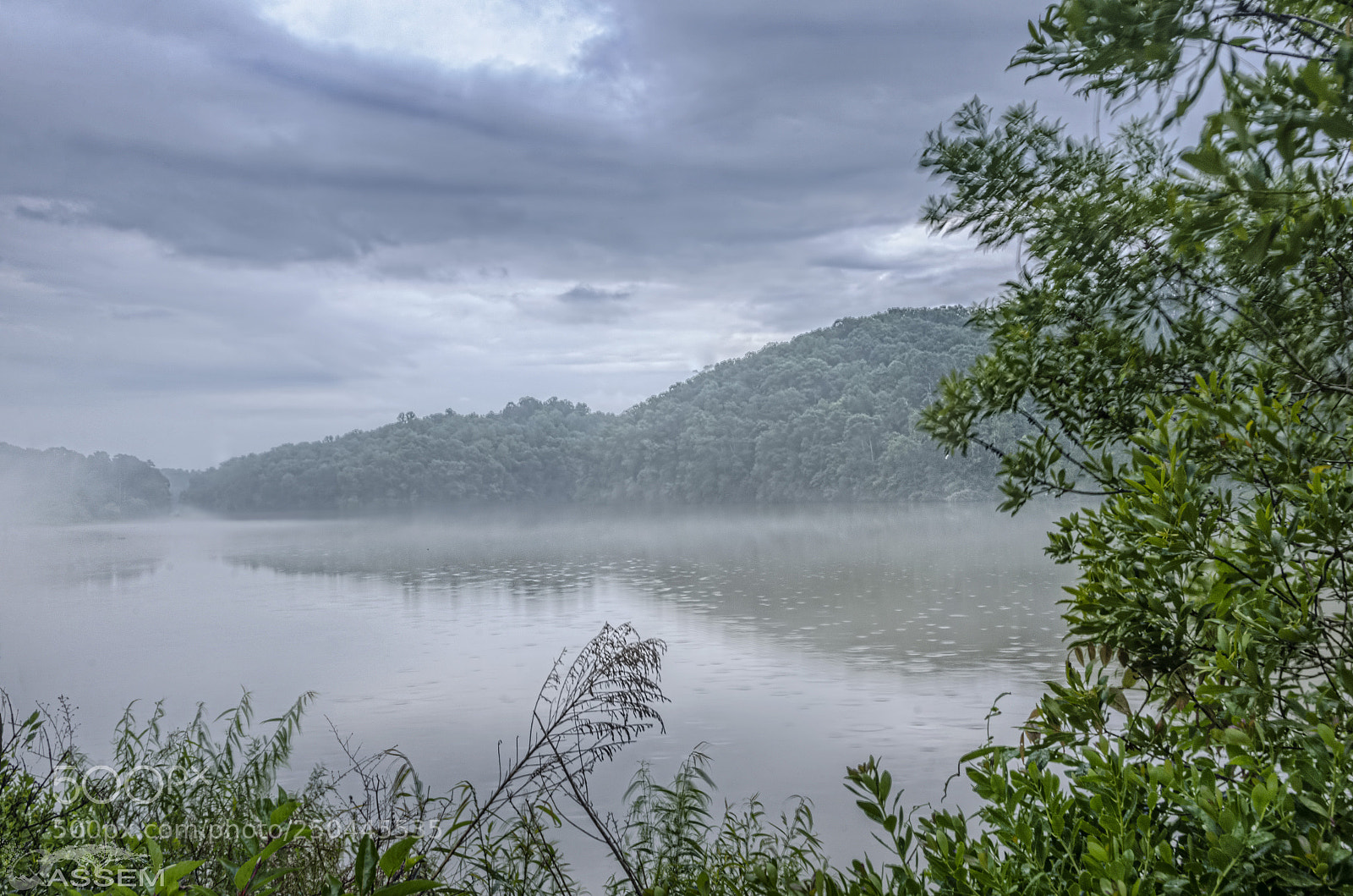 Nikon D7000 sample photo. Between the trees photography