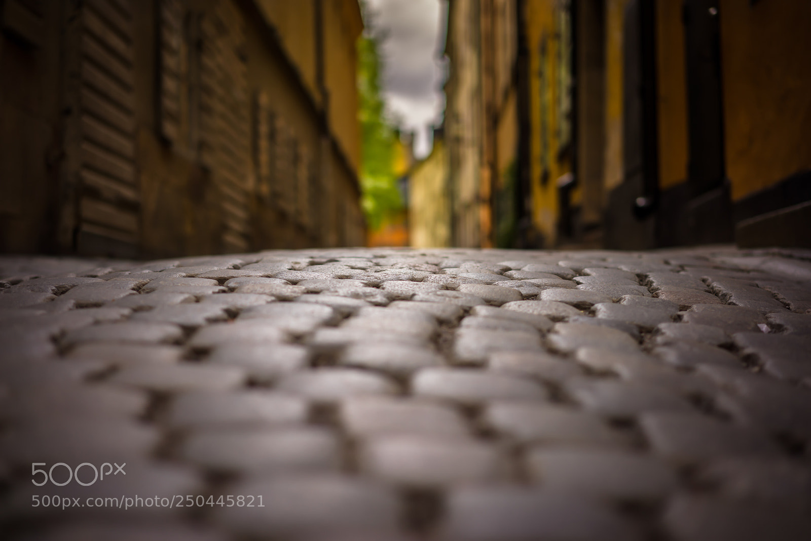 Sony a7R sample photo. Gs photography