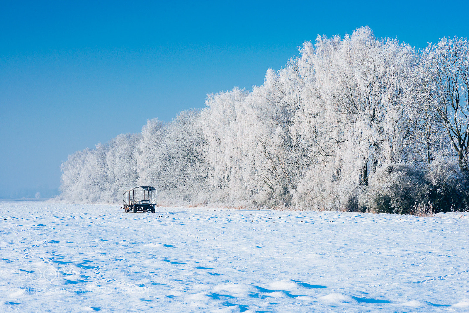 Nikon D800 sample photo. Winter in ledowo photography