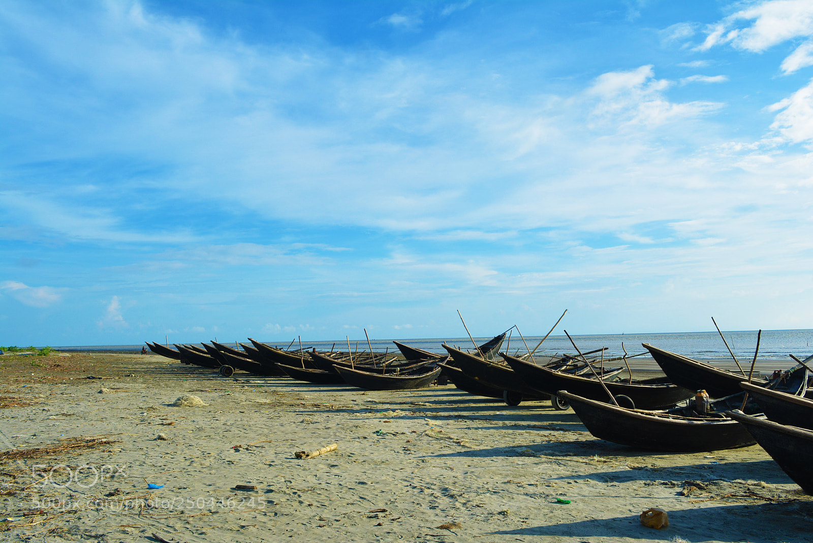 Nikon D5200 sample photo. A lonely afternoon photography