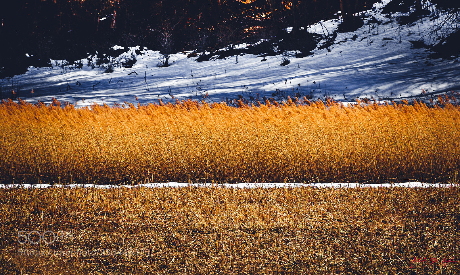 Canon EOS 77D (EOS 9000D / EOS 770D) sample photo. Il vento dell'est photography
