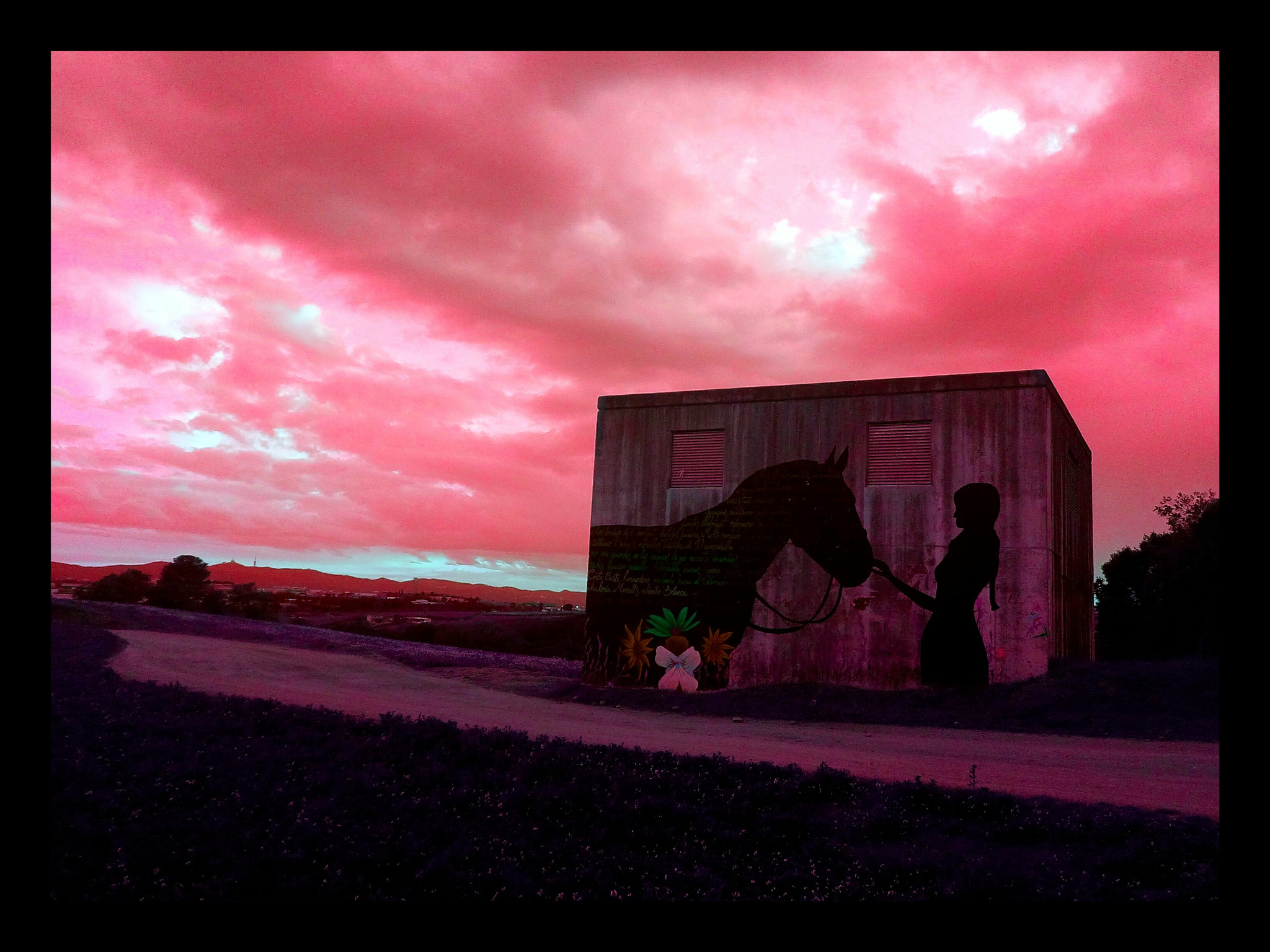 WIKO LENNY3 sample photo. Dark horse photography