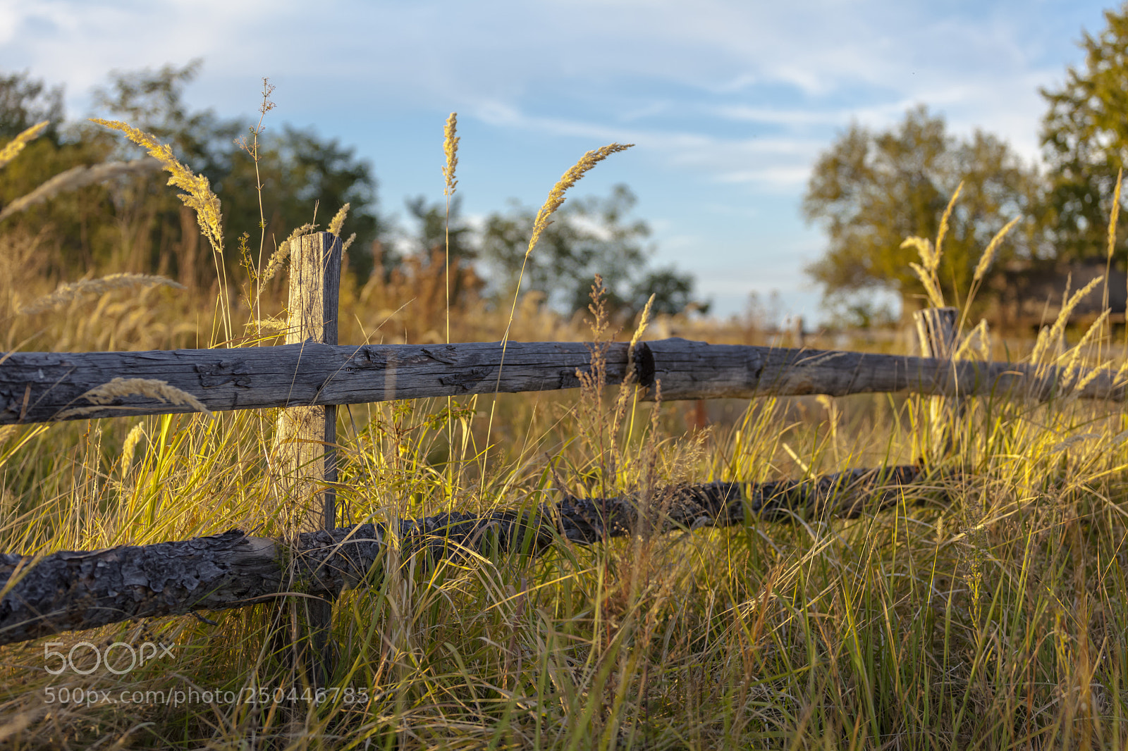 Canon EOS 5D Mark II sample photo. Bbb photography