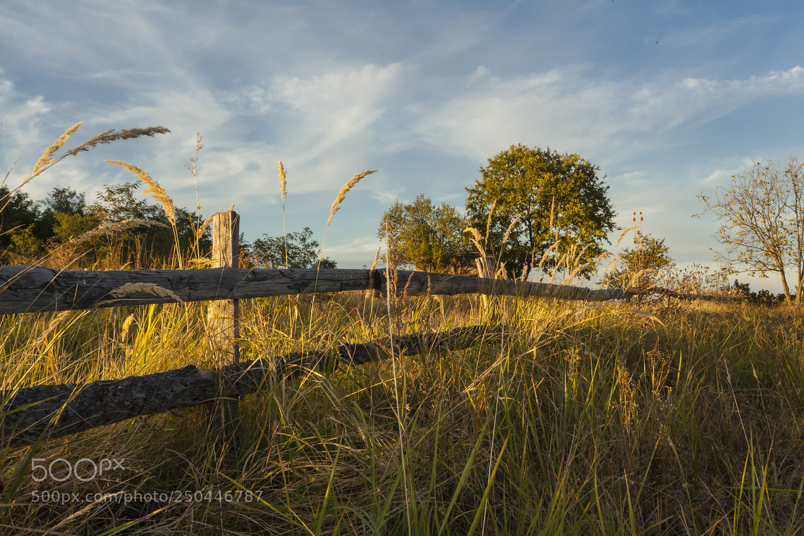 Canon EOS 5D Mark II sample photo. Nnn photography