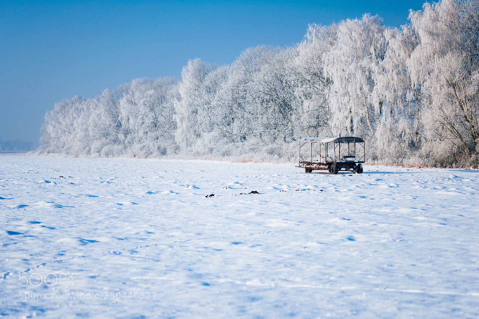 Nikon D800 sample photo. Winter in ledowo photography