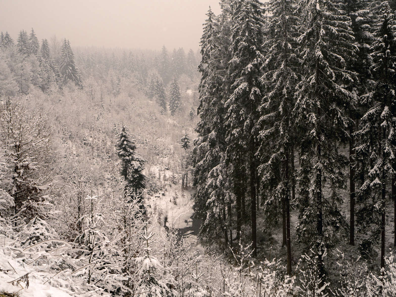 Olympus OM-D E-M10 sample photo. Winter photography