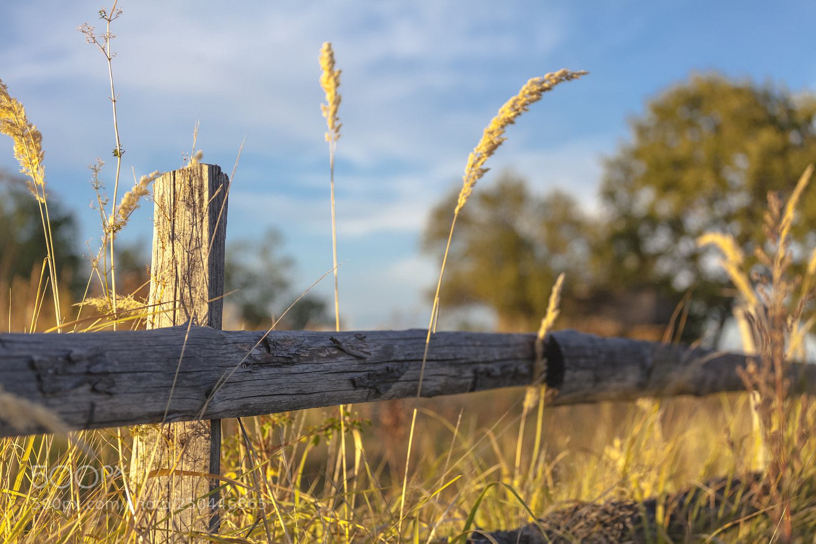 Canon EOS 5D Mark II sample photo. Vvv photography