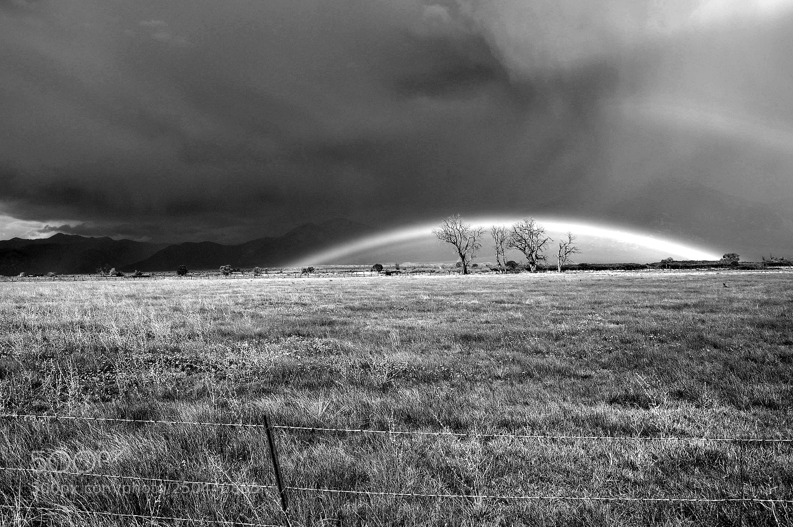 Nikon D90 sample photo. Bwrainbow photography