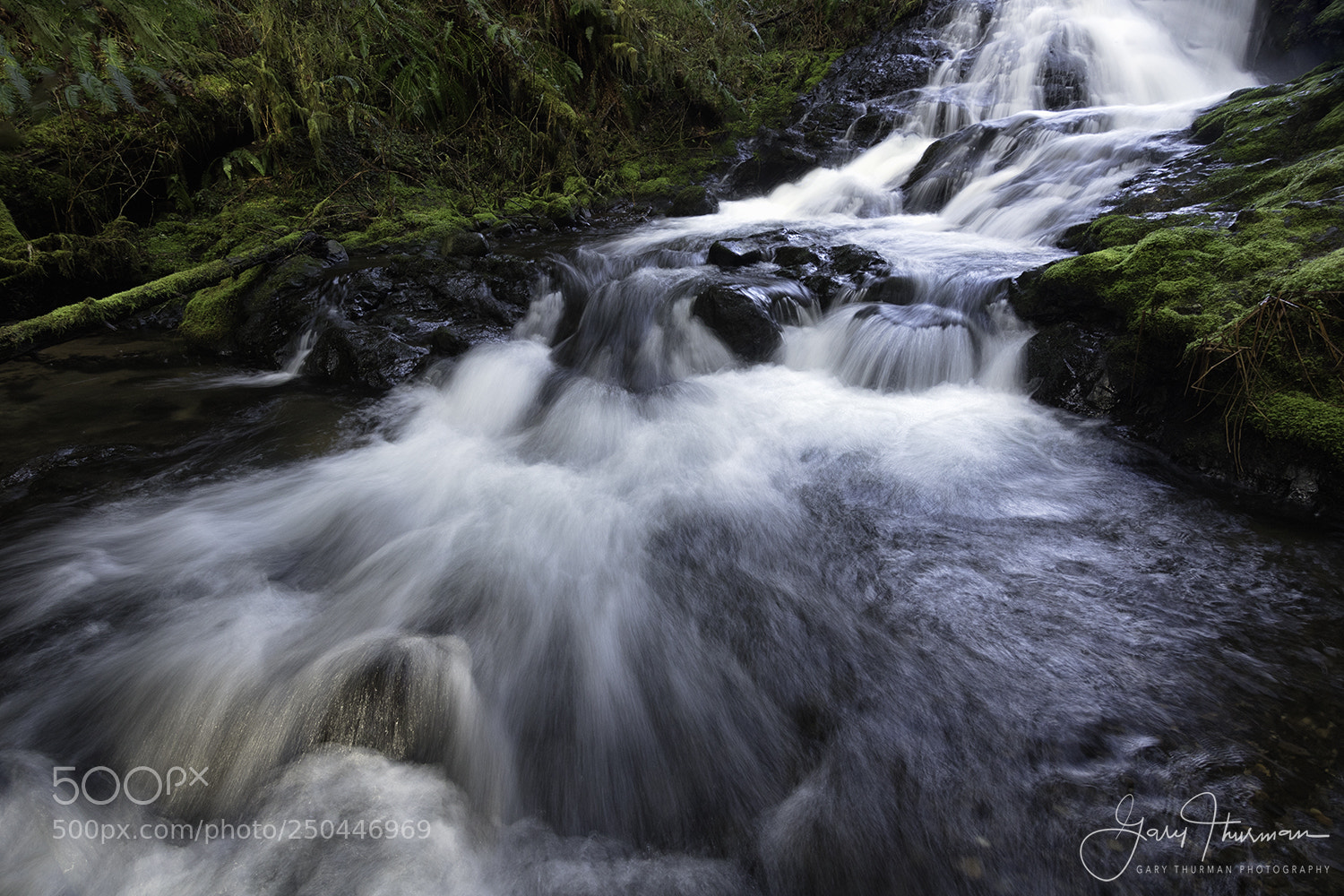 Canon EOS 7D Mark II sample photo. Kissed by the light photography