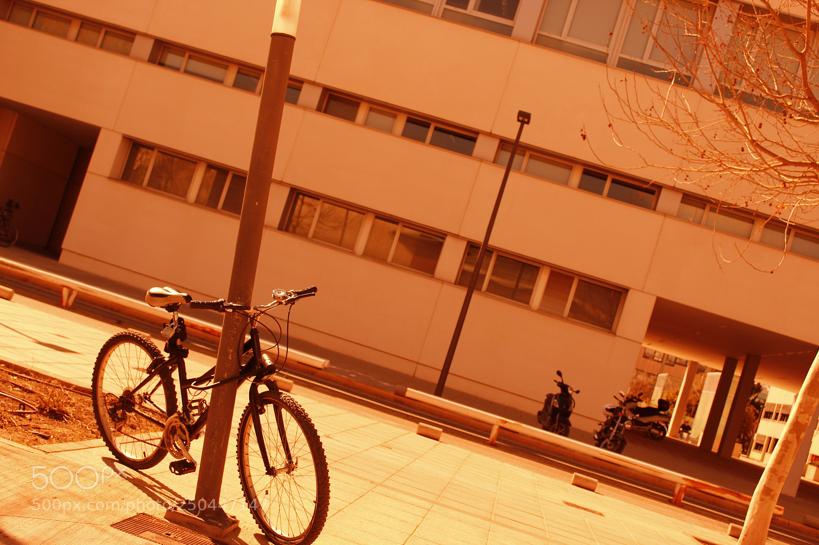 Canon EOS 1300D (EOS Rebel T6 / EOS Kiss X80) sample photo. The good old days photography