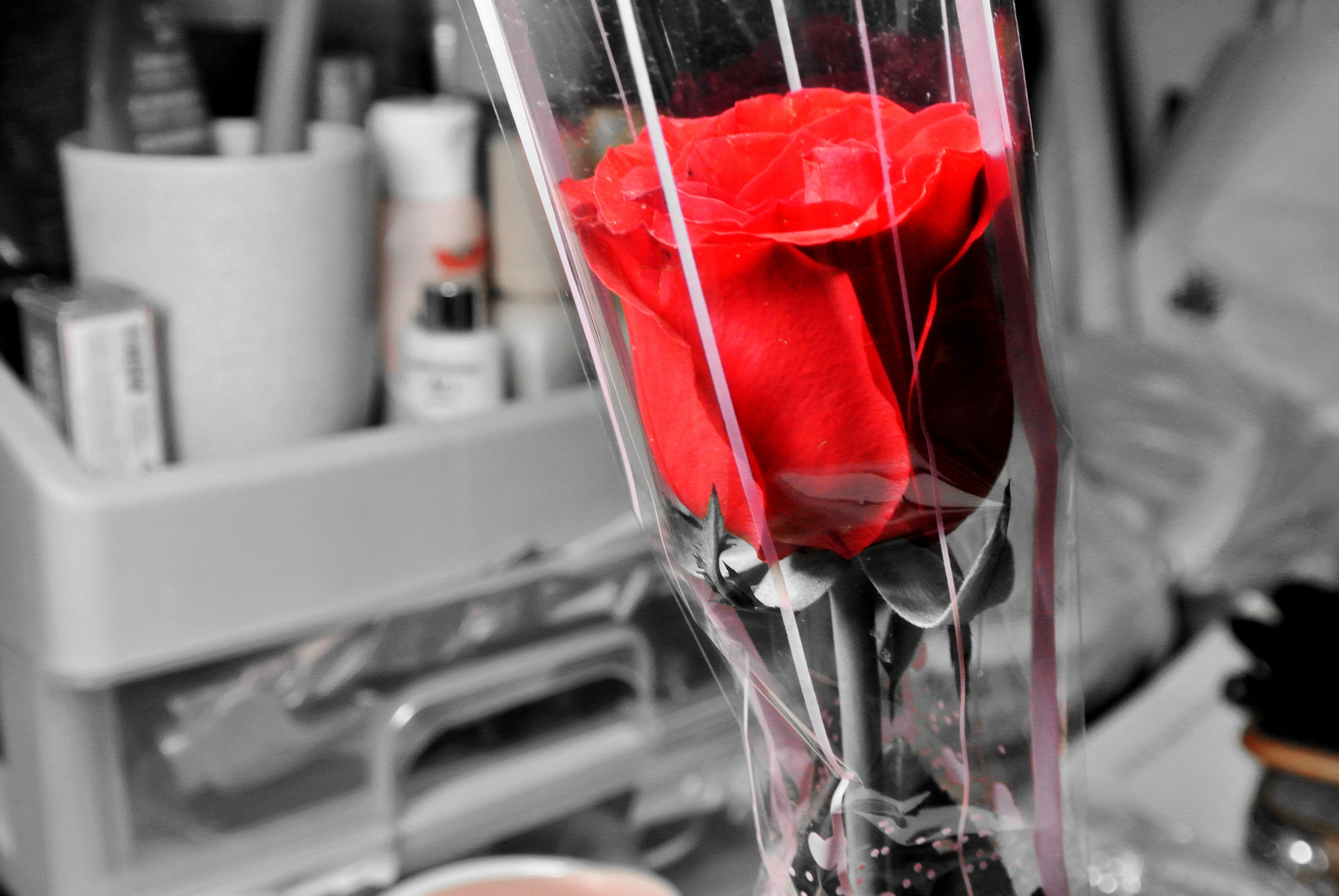 Nikon 1 J1 sample photo. Rose photography