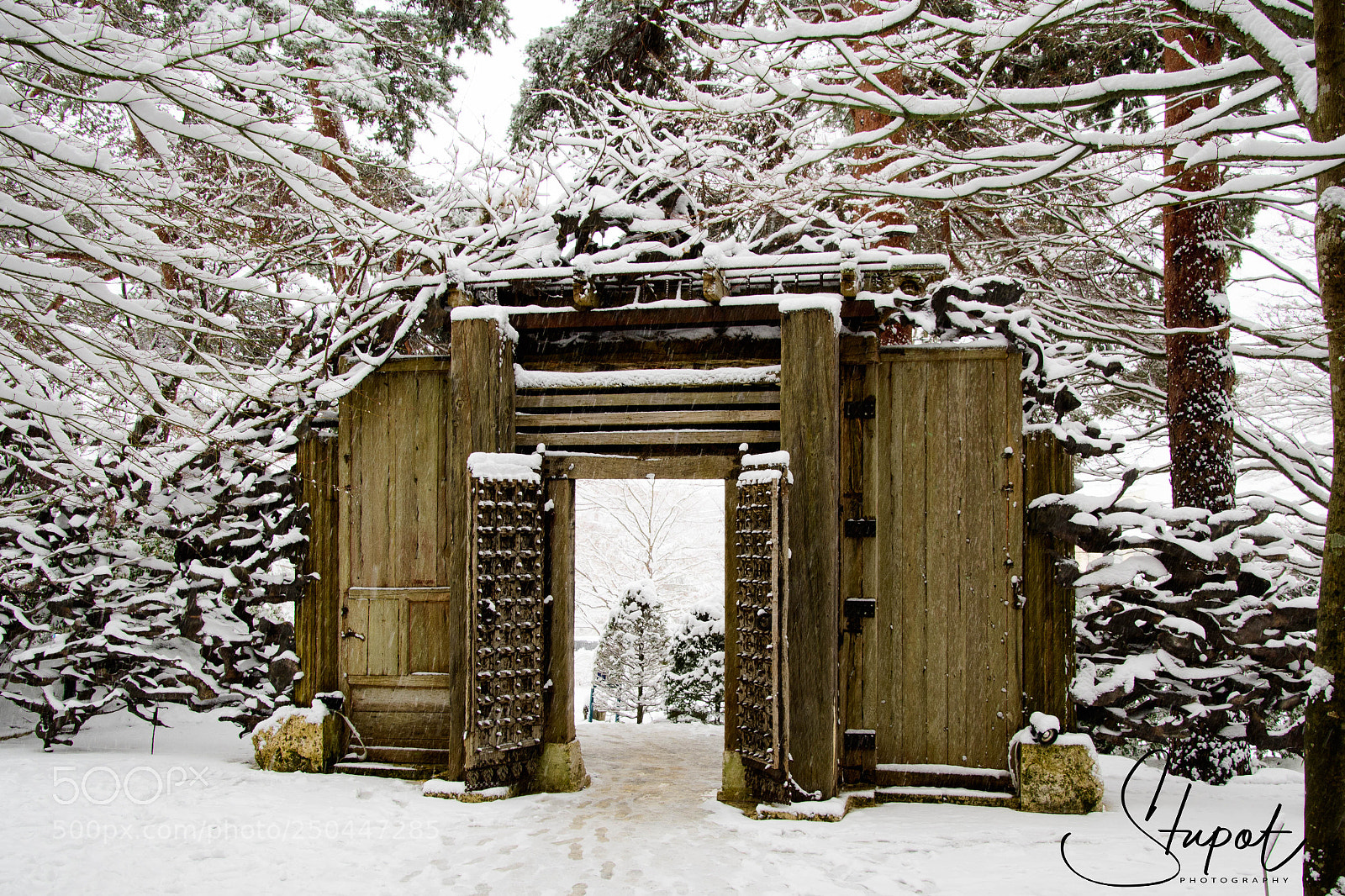 Nikon D500 sample photo. The snow gate photography