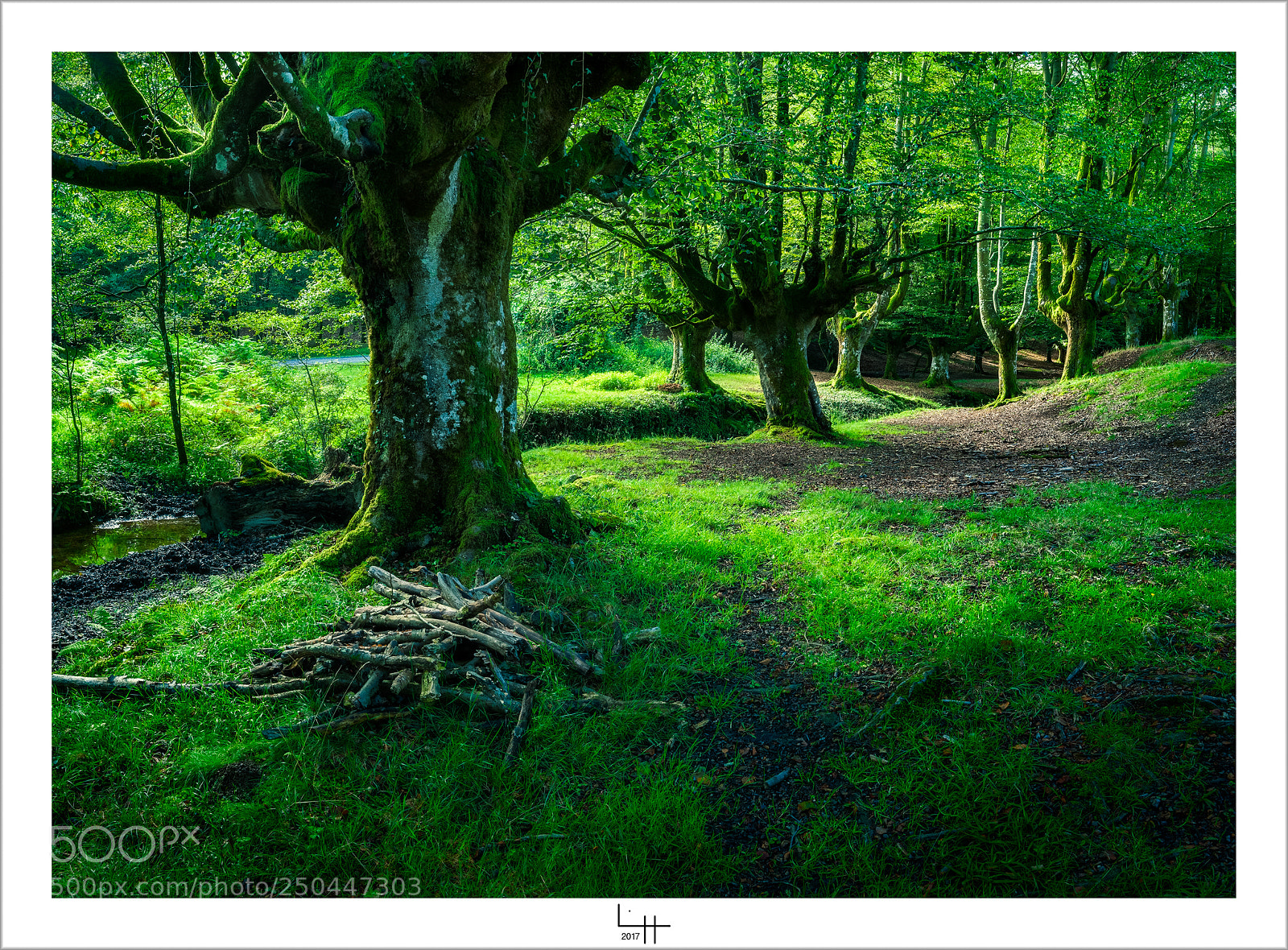 Nikon D700 sample photo. Parc gorbeiako vii photography