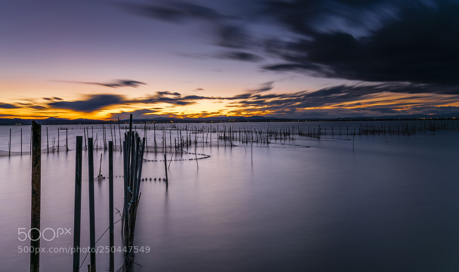 Nikon D5300 sample photo. Albufera photography