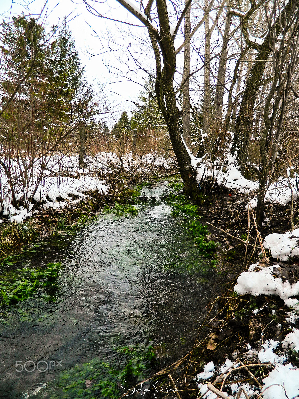 Nikon COOLPIX L310 sample photo. Spring and snow photography