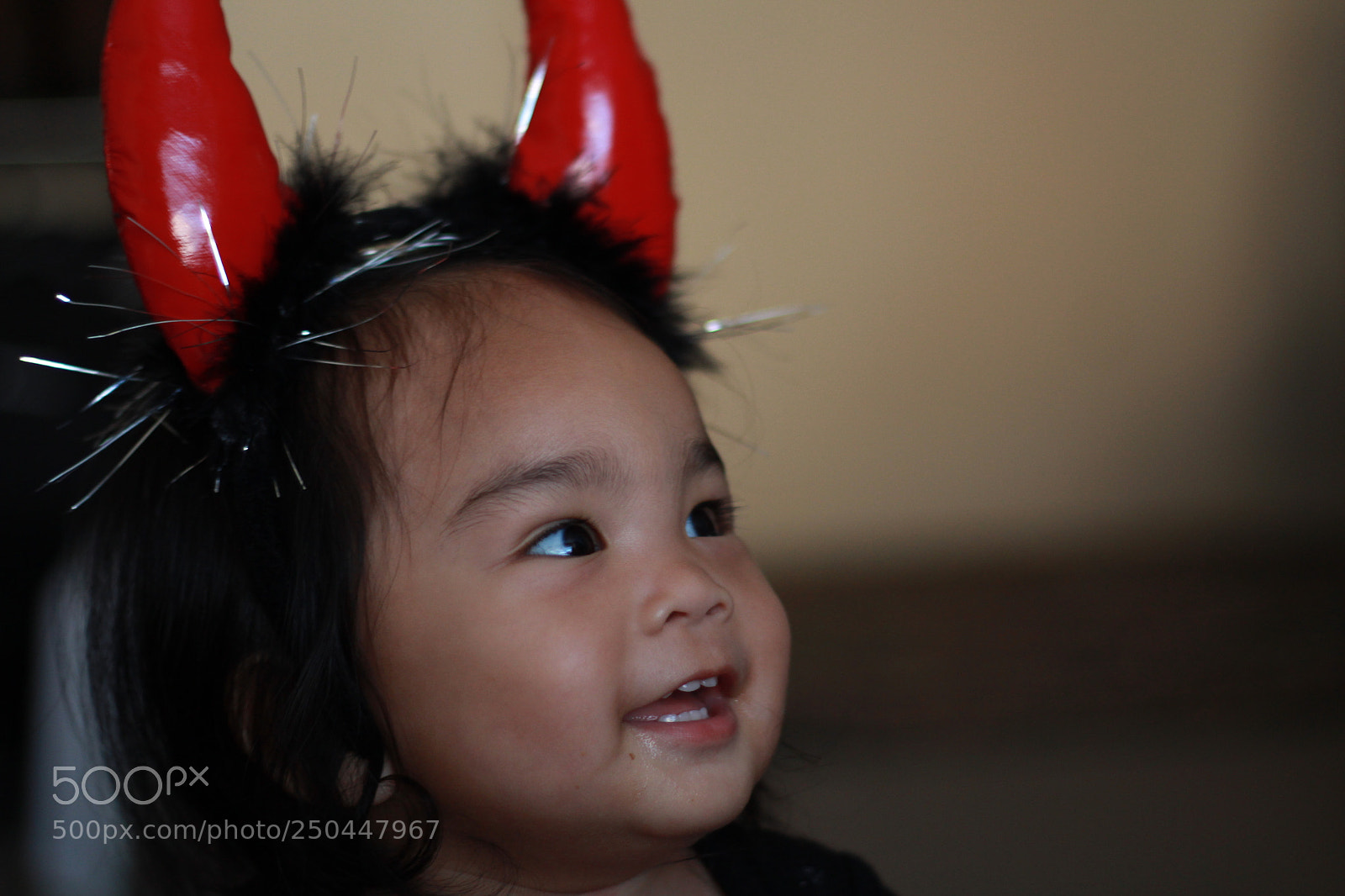 Canon EOS 700D (EOS Rebel T5i / EOS Kiss X7i) sample photo. 225 of 365 photography