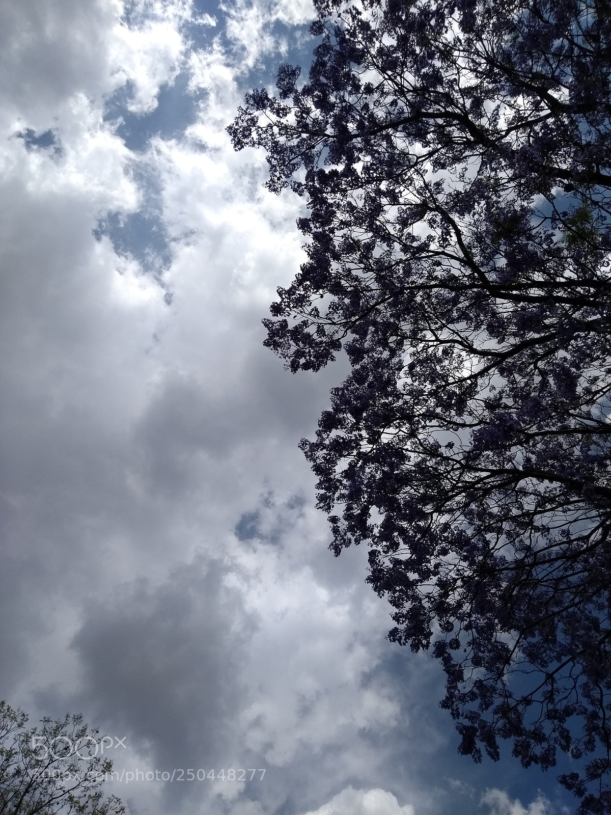 Motorola Moto G (5th Gen) sample photo. ? photography