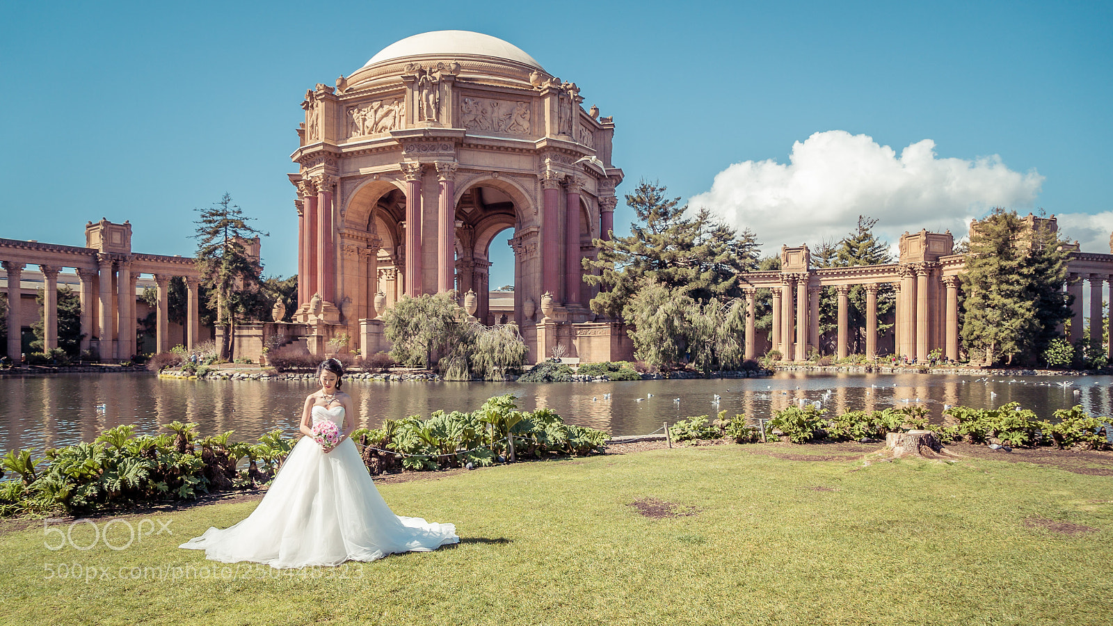 Sony a7S II sample photo. Dsc photography